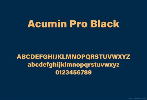 acumin pro font|acumin pro black font free download.